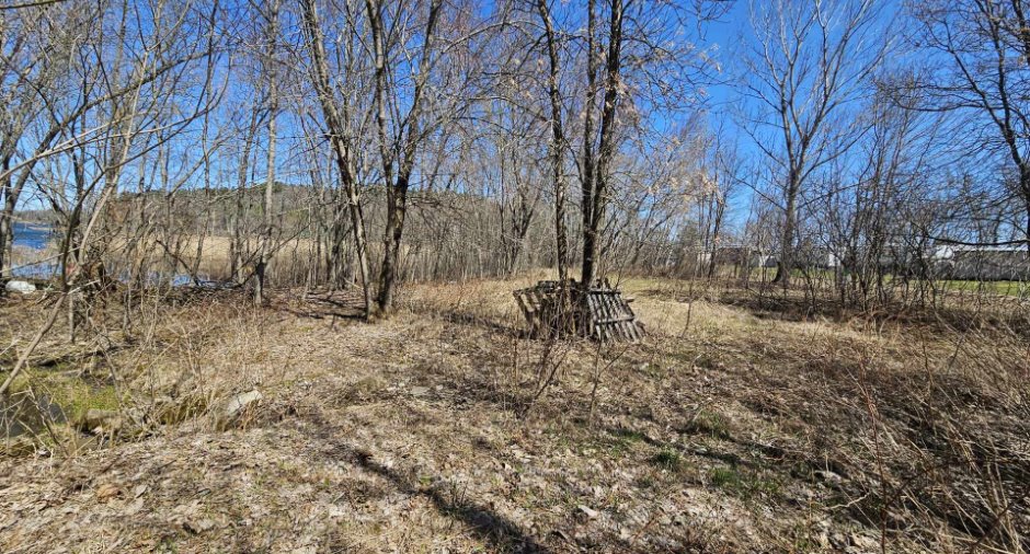 Terre/Terrain