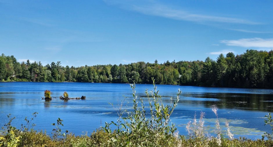 Vue sur l'eau