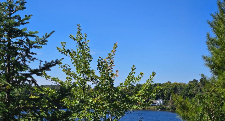 Vue sur l'eau