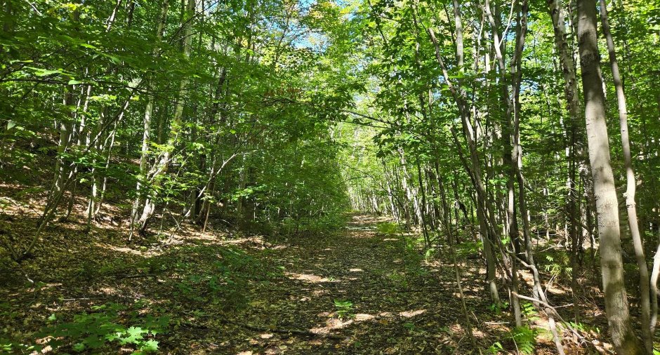 Terre/Terrain