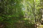 Terre à bois