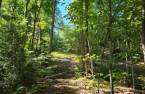 Terre à bois