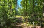 Terre à bois