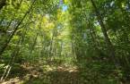 Terre/Terrain