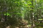 Terre/Terrain