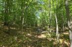 Terre à bois
