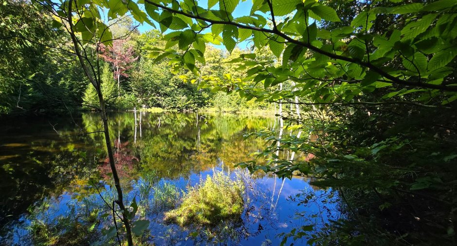 Vue sur l'eau