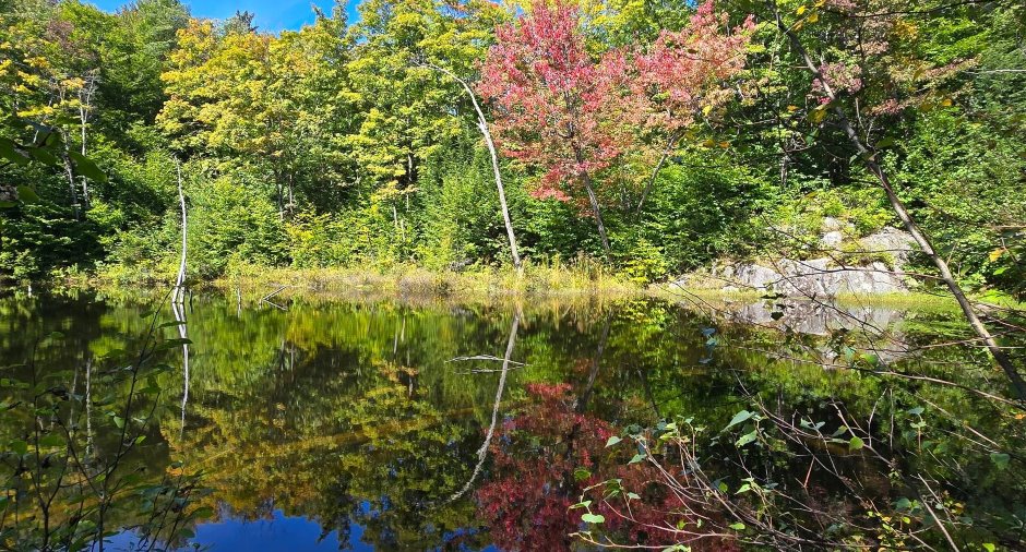 Vue sur l'eau