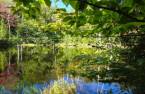 Vue sur l'eau