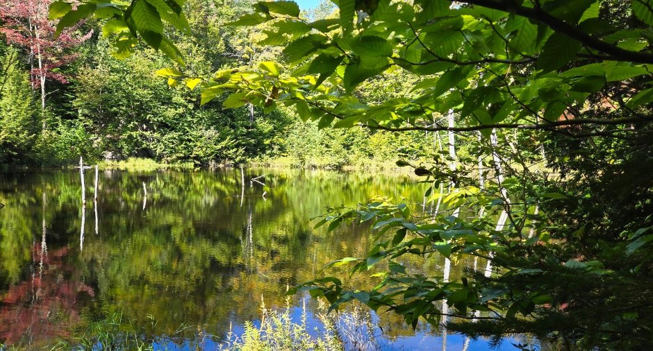 Vue sur l'eau