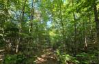 Terre/Terrain