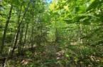 Terre à bois