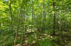 Terre/Terrain