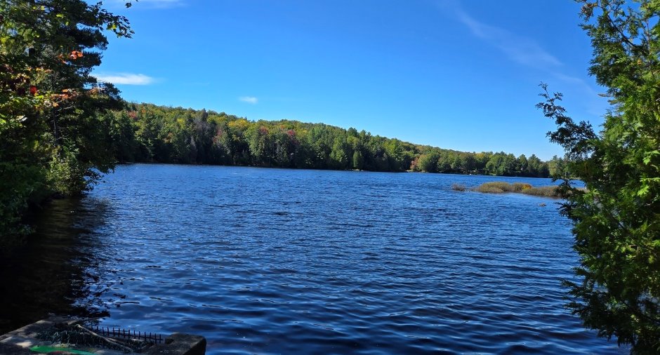 Vue sur l'eau