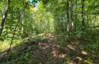 Terre à bois