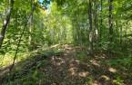 Terre à bois