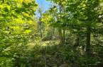 Terre/Terrain
