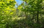 Terre/Terrain