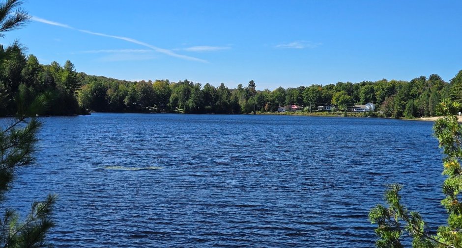 Vue sur l'eau