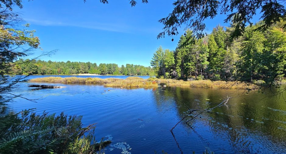 Vue sur l'eau