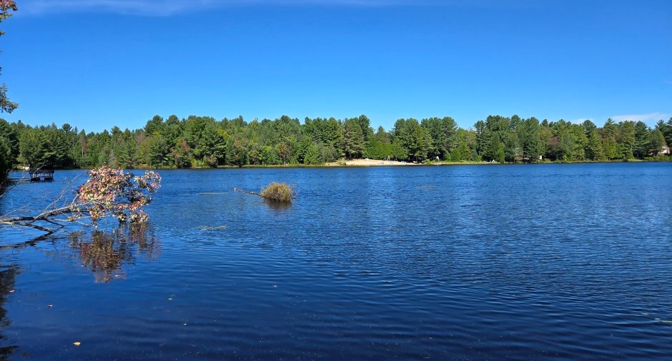 Vue sur l'eau
