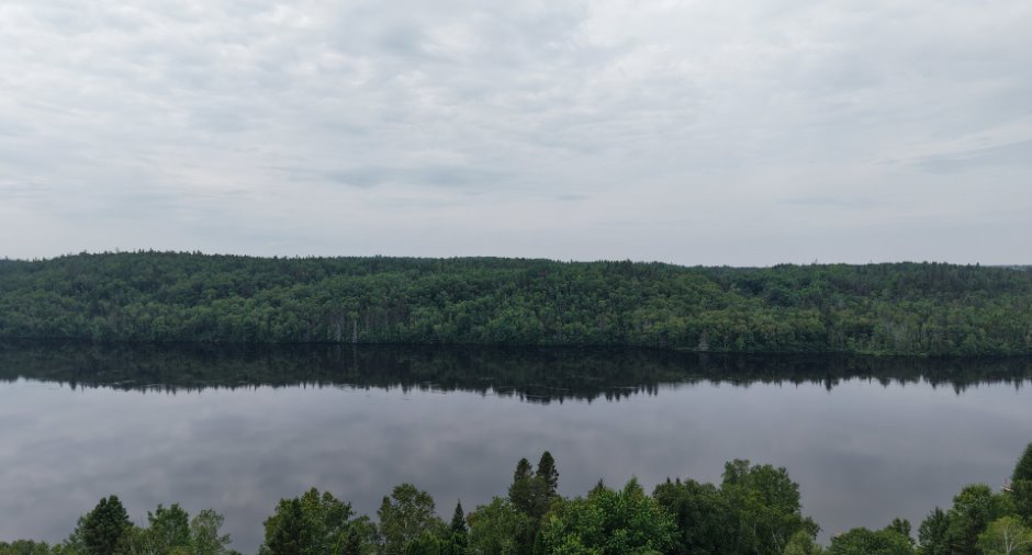 Overall View