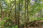 Terre/Terrain