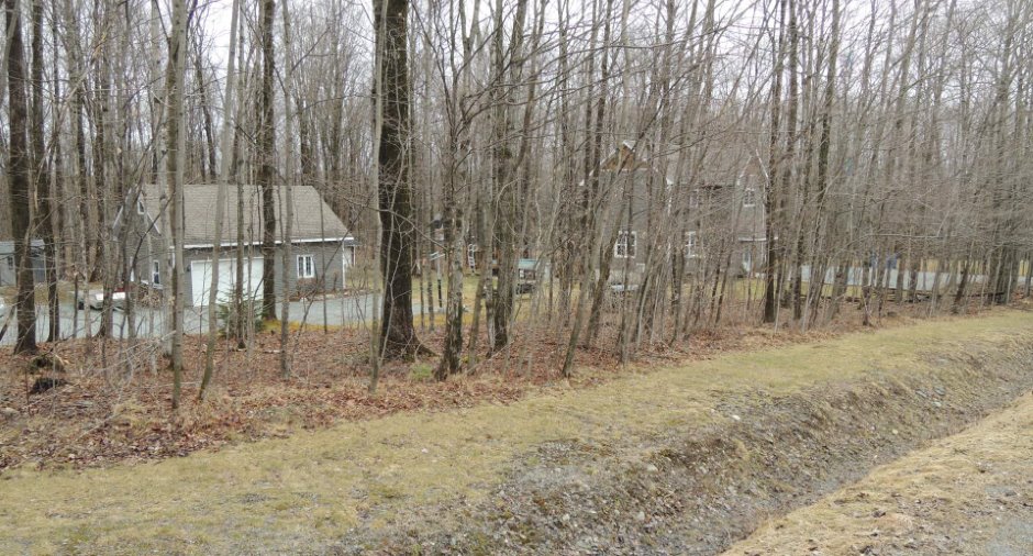 Wooded area