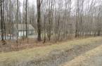 Wooded area