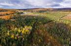 Terre/Terrain