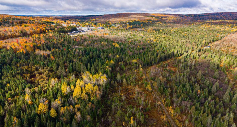 Aerial photo