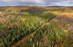 Terre/Terrain