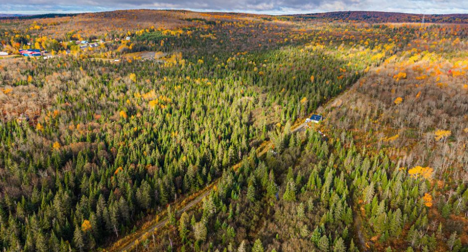 Land/Lot