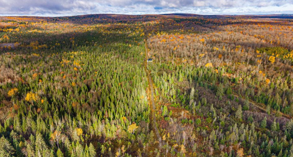 Land/Lot