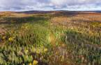 Land/Lot