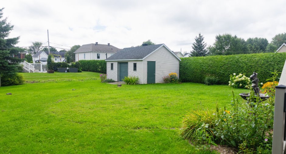 Shed