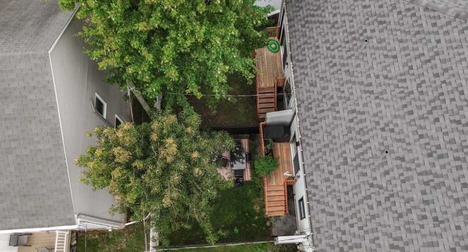Overall View