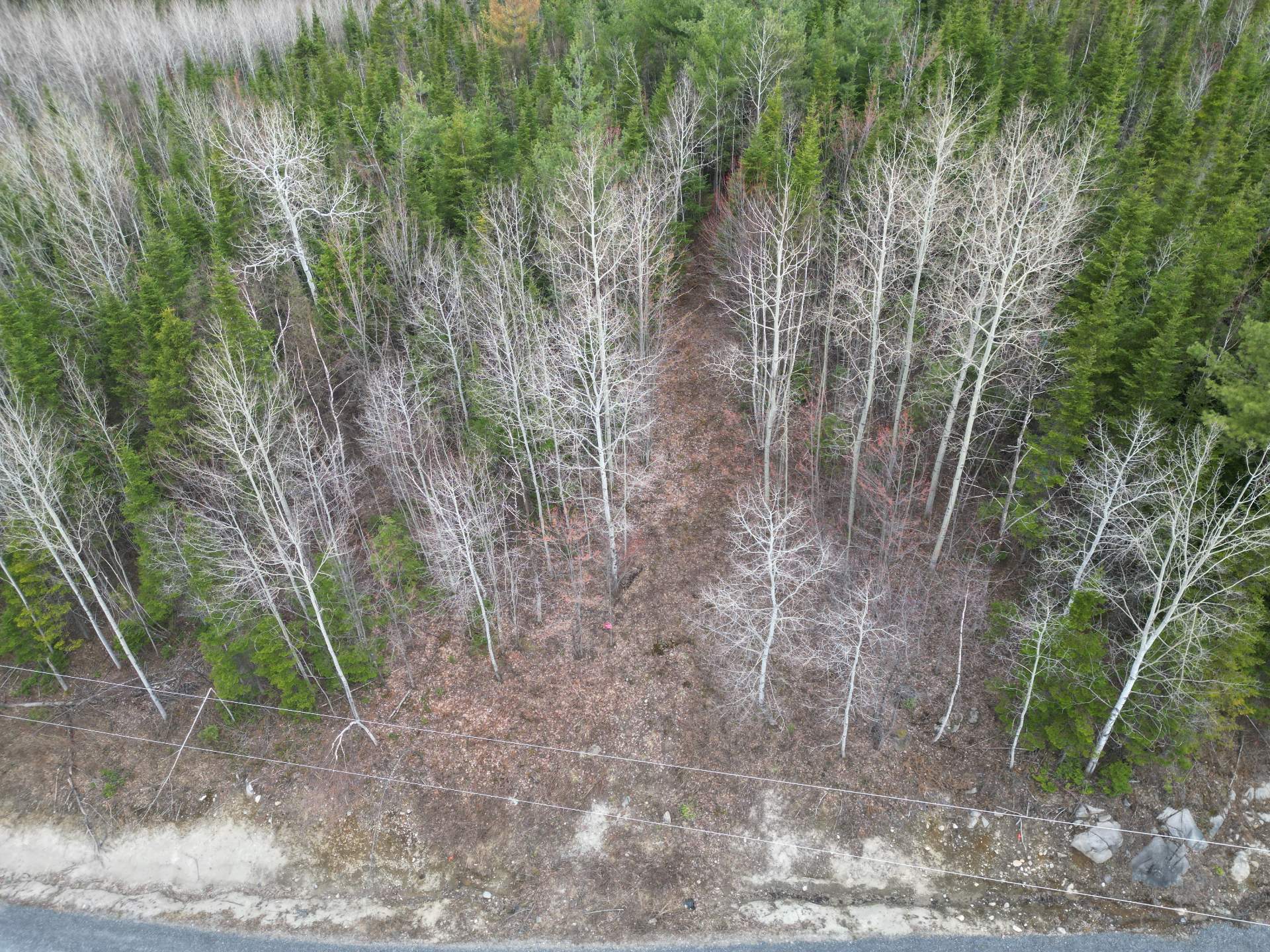 Ch. Bélanger — photo 2