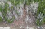Terre/Terrain