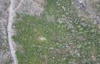 Terre/Terrain