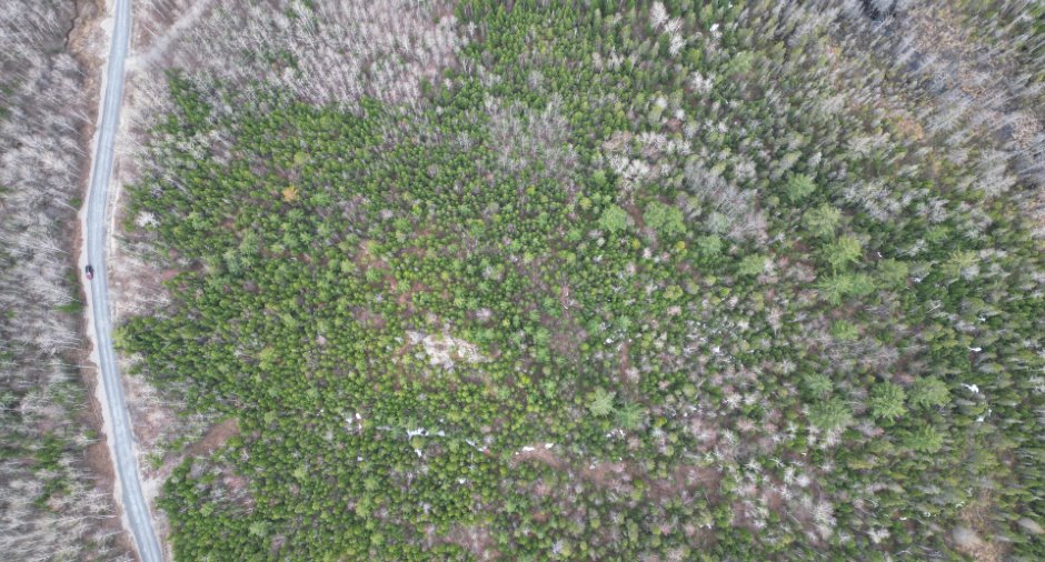 Terre/Terrain
