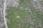 Terre/Terrain