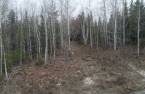 Terre/Terrain