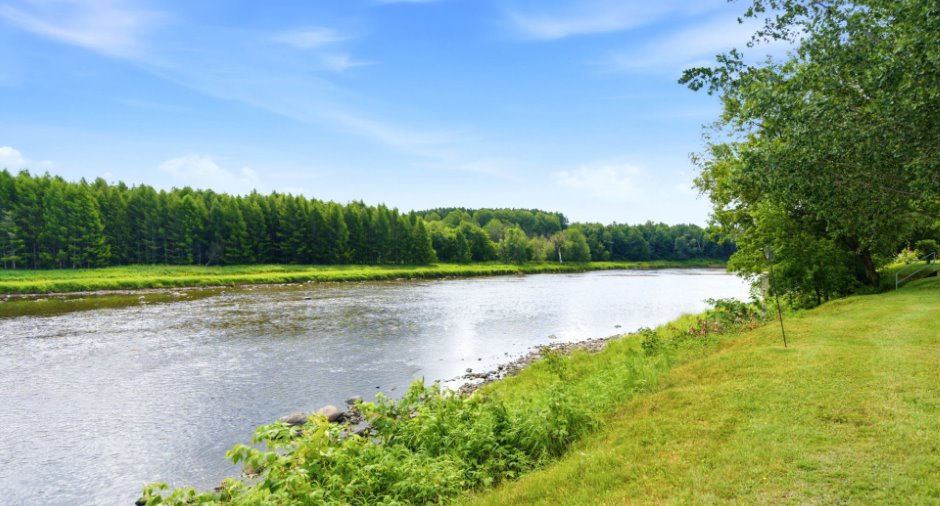 Bord de l'eau