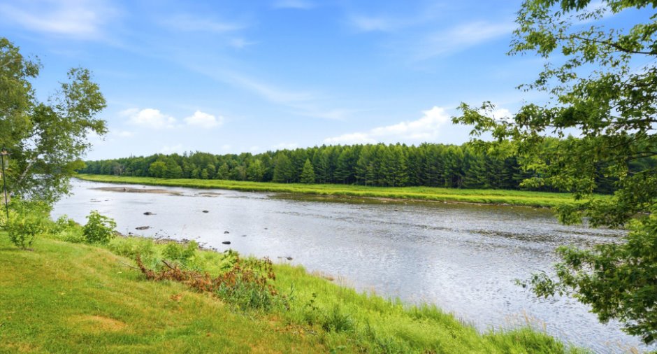 Bord de l'eau