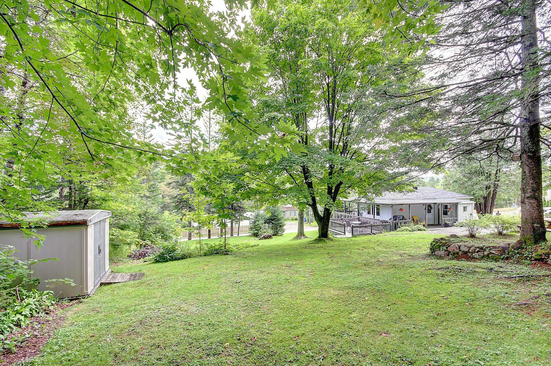 369Z Av. Ste-Brigitte — photo 2