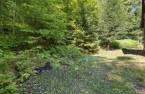 Terre/Terrain