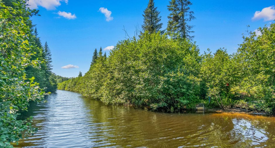 Bord de l'eau