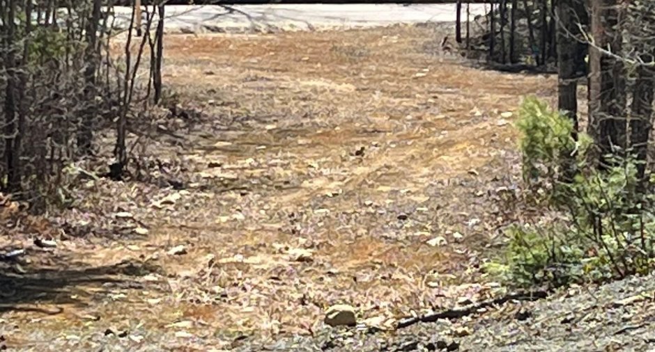 Land/Lot