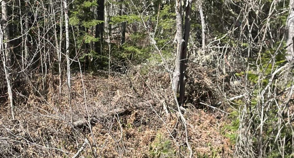Land/Lot
